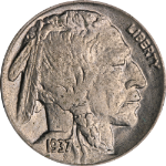 1937-P Buffalo Nickel