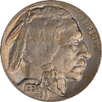 1934-D Buffalo Nickel