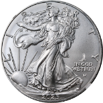 2025 (P) Silver American Eagle $1 8 Era NGC MS69 First Eagle Privy Release STOCK