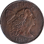 1794 Large Cent Starred Reverse S-48 PCGS VF Details Key Date Nice Strike