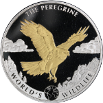 2024 Congo 1 Ounce Silver 20 Fr. World's Wildlife: The Peregrine Gold Gilt Cap