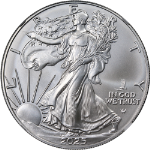 2025 (P) Silver American Eagle $1 NGC MS70 1st Eagle Privy Release 8th Era STOCK
