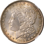 1896-P Morgan Silver Dollar NGC MS65 - Toning