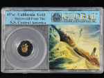 49&#39;er California Gold S.S. Central America Recovery in GCS Slab - STOCK