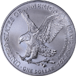 2022 Silver American Eagle $1 PCGS MS70 Magnum Opus Label