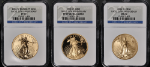 2006-W Gold American Eagle 3 Coin Anniversary Set NGC MS69 PF69 PF69 UCAM