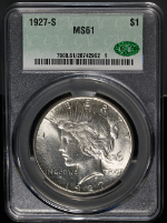 PSB58307