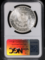 PSB58390