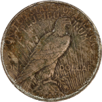 BBDP3381