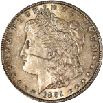 1891-S Morgan Silver Dollar - Heavy Scratch