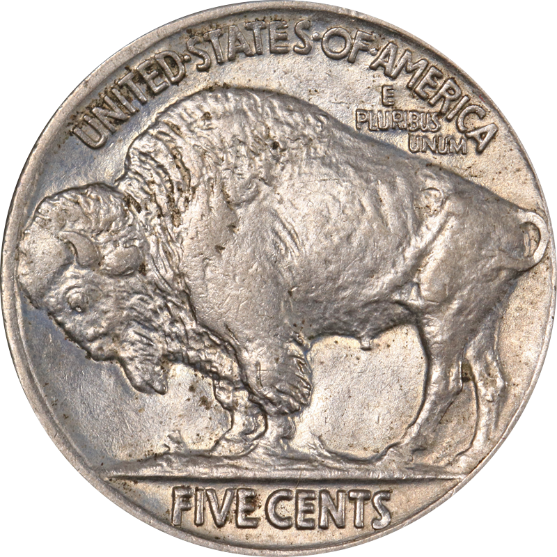 1919-P Buffalo Nickel